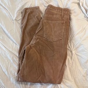 beige hollister pants